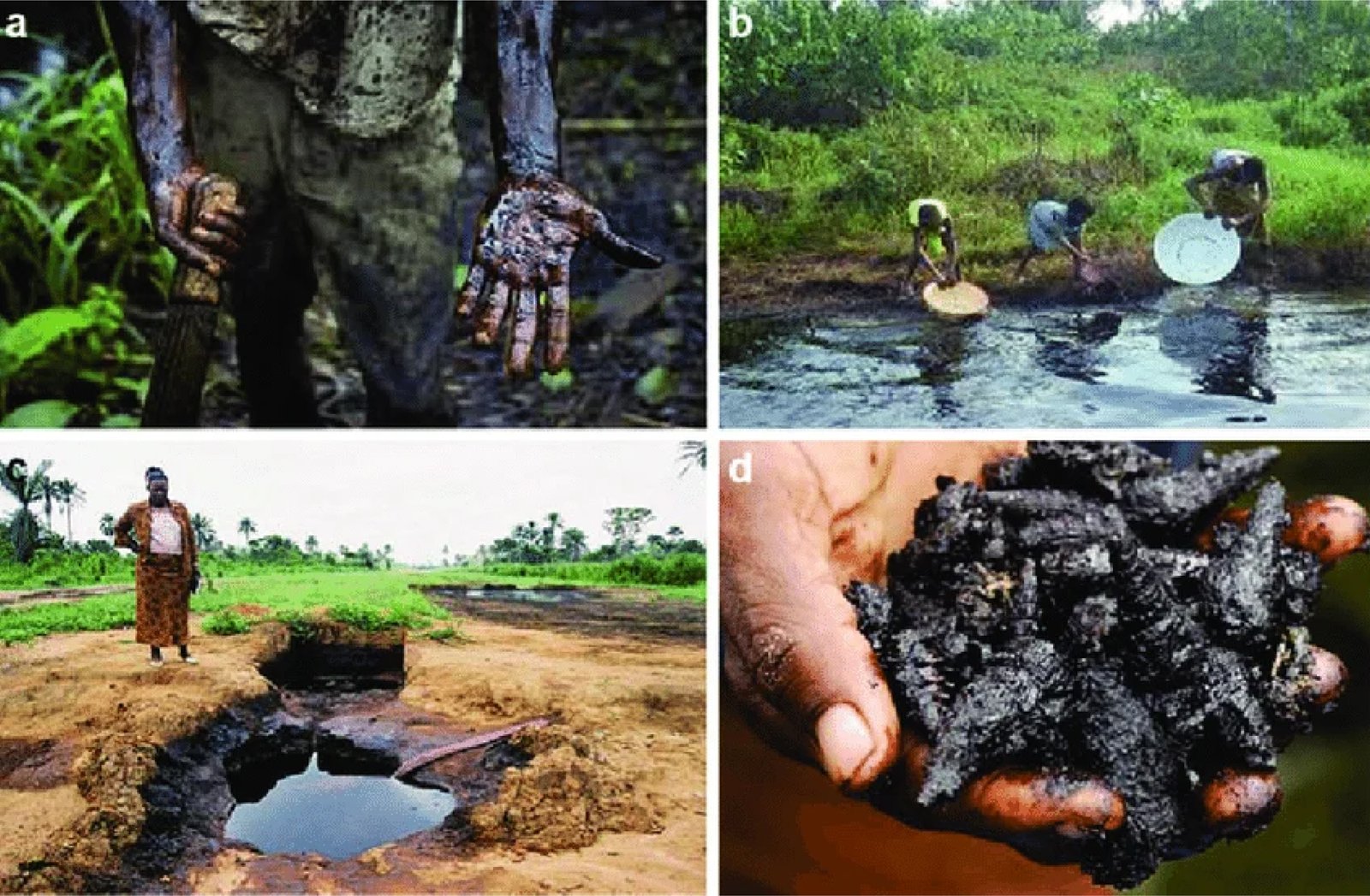 Ogoni Home